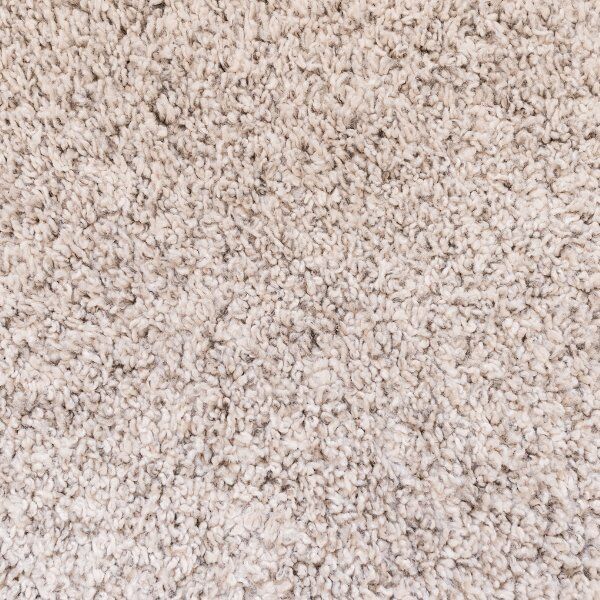 A clean brownstown homeowner's carpet